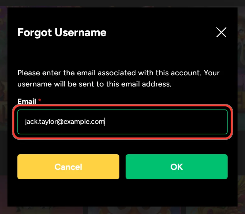 Email field highlighted in the Ozwin Forgot Username form