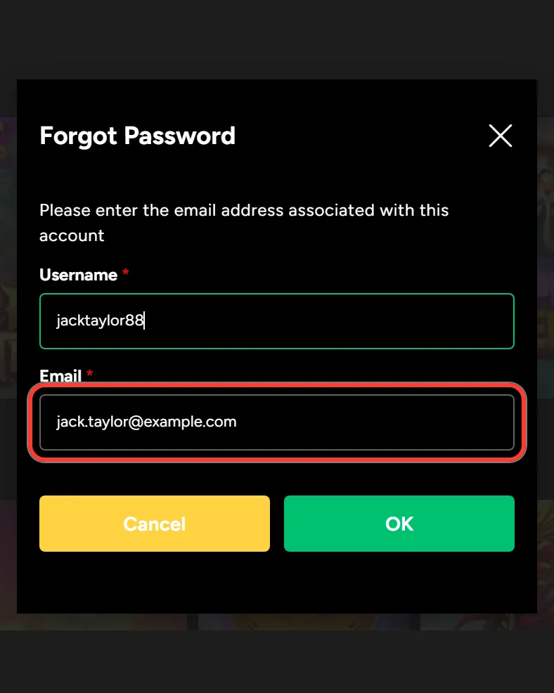 Account email field highlighted in the Ozwin Forgot Password form